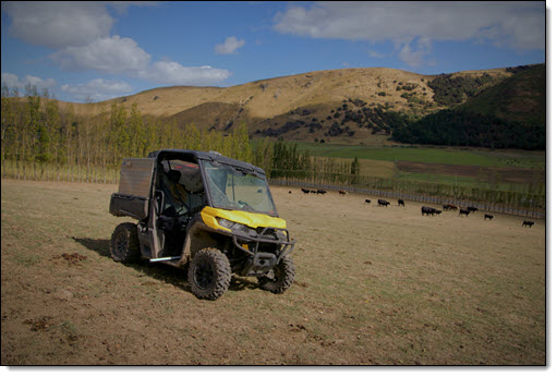 UTVs